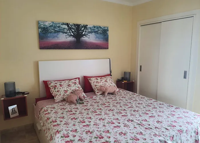 Apartamentos Ferran Paqui